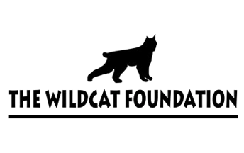 Wildcat Foundation Wildcat Foundation