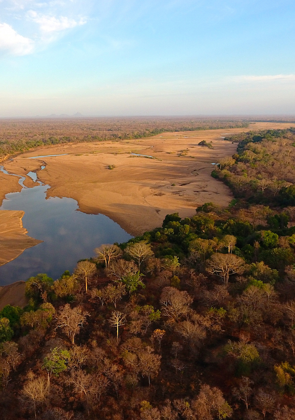 Niassa Special Reserve